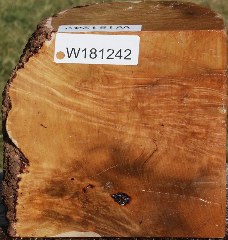 Extra Fancy Kanista Live Edge Bowl Blank