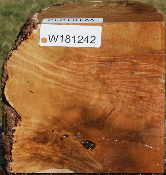 Extra Fancy Kanista Live Edge Bowl Blank