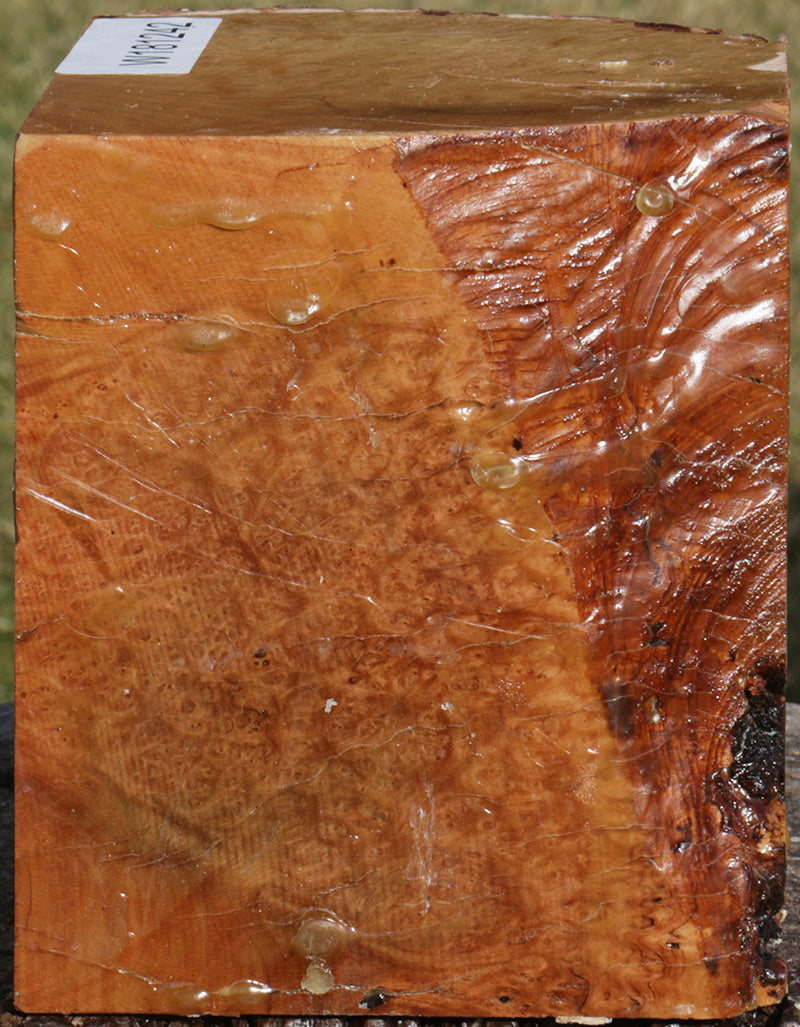 Extra Fancy Kanista Live Edge Bowl Blank