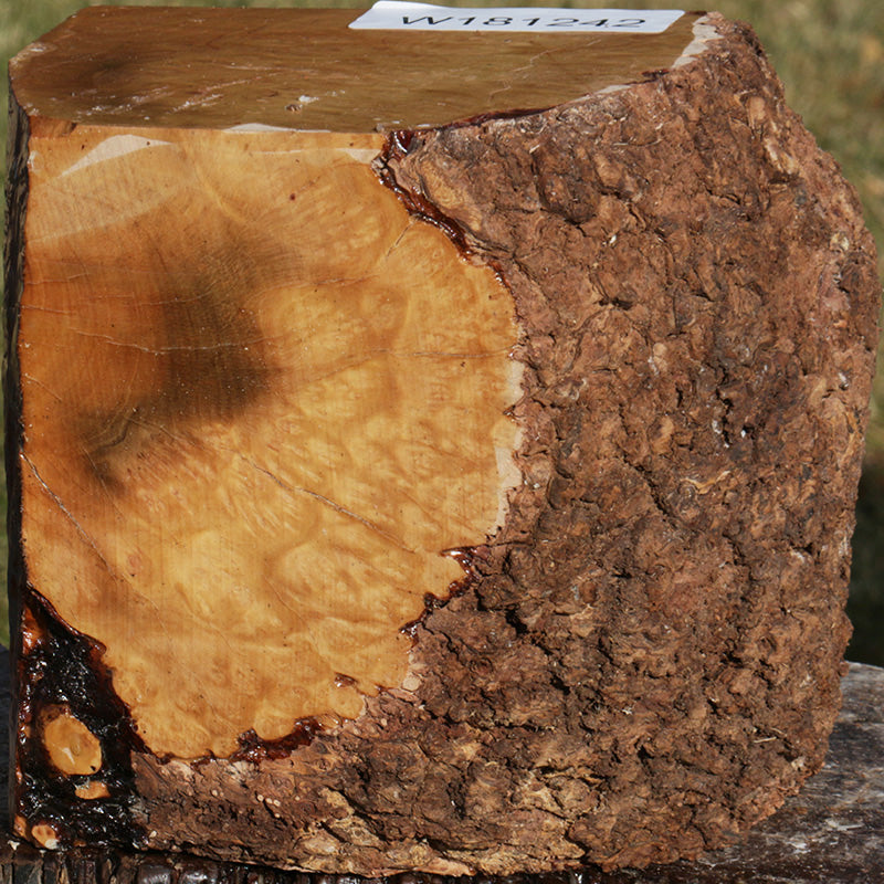 Extra Fancy Kanista Live Edge Bowl Blank