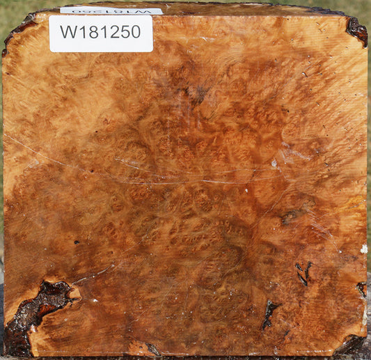 Exhibition Kanista Live Edge Bowl Blank