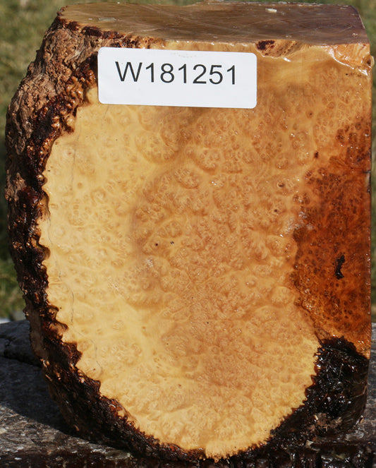 Kanista Live Edge Turning Blank