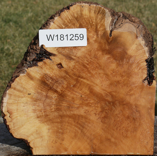 Kanista Live Edge Burl Bowl Blank