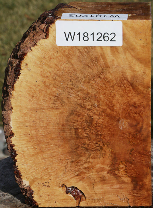 Exhibition Kanista Live Edge Turning Blank