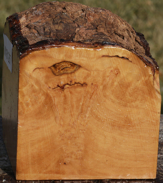 Kanista Live Edge Bowl Blank