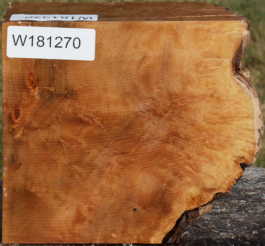 Spalted Kanista Live Edge Bowl Blank