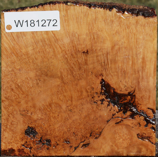 Exhibition Kanista Live Edge Bowl Blank