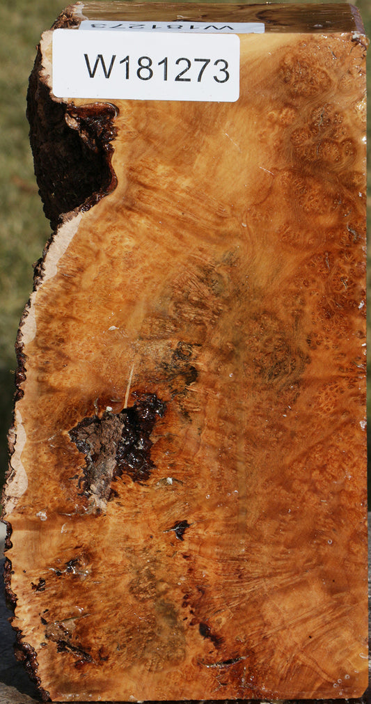 Exhibition Kanista Live Edge Turning Blank