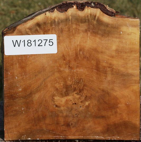 Exhibition Kanista Live Edge Bowl Blank