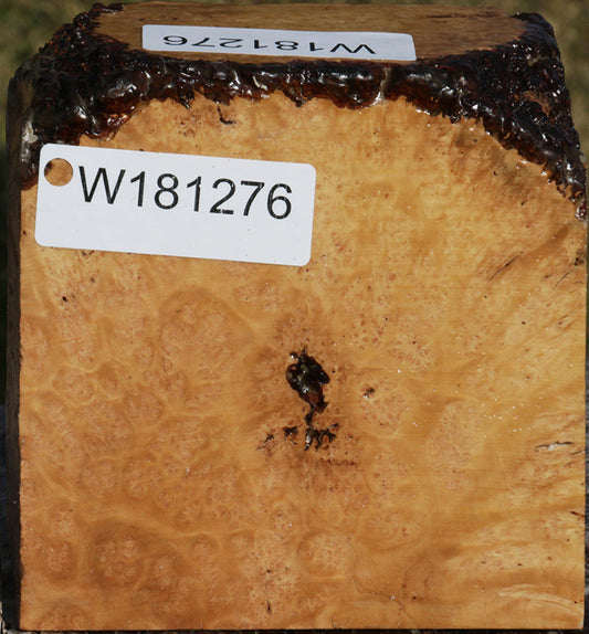 Exhibition Kanista Live Edge Bowl Blank