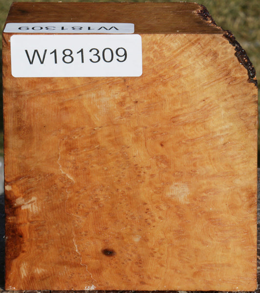 Exhibition Kanista Live Edge Bowl Blank