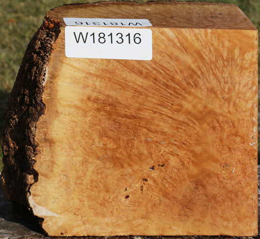 Exhibition Kanista Live Edge Bowl Blank