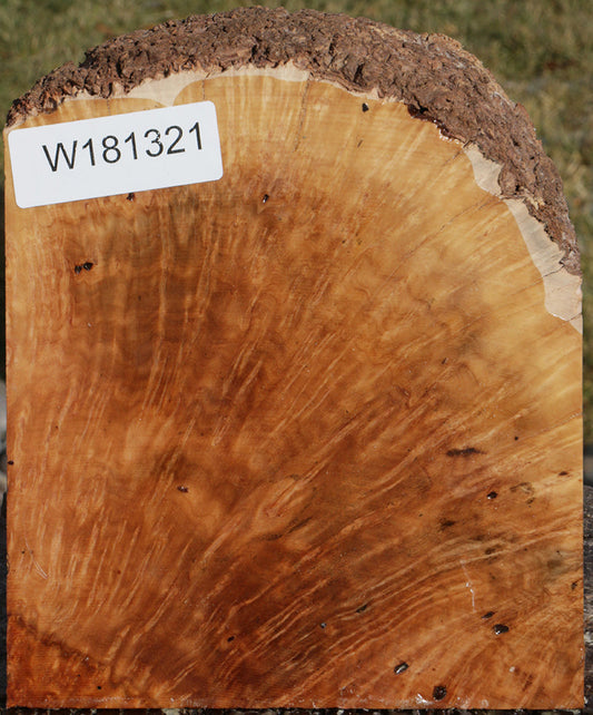 Exhibition Kanista Live Edge Bowl Blank