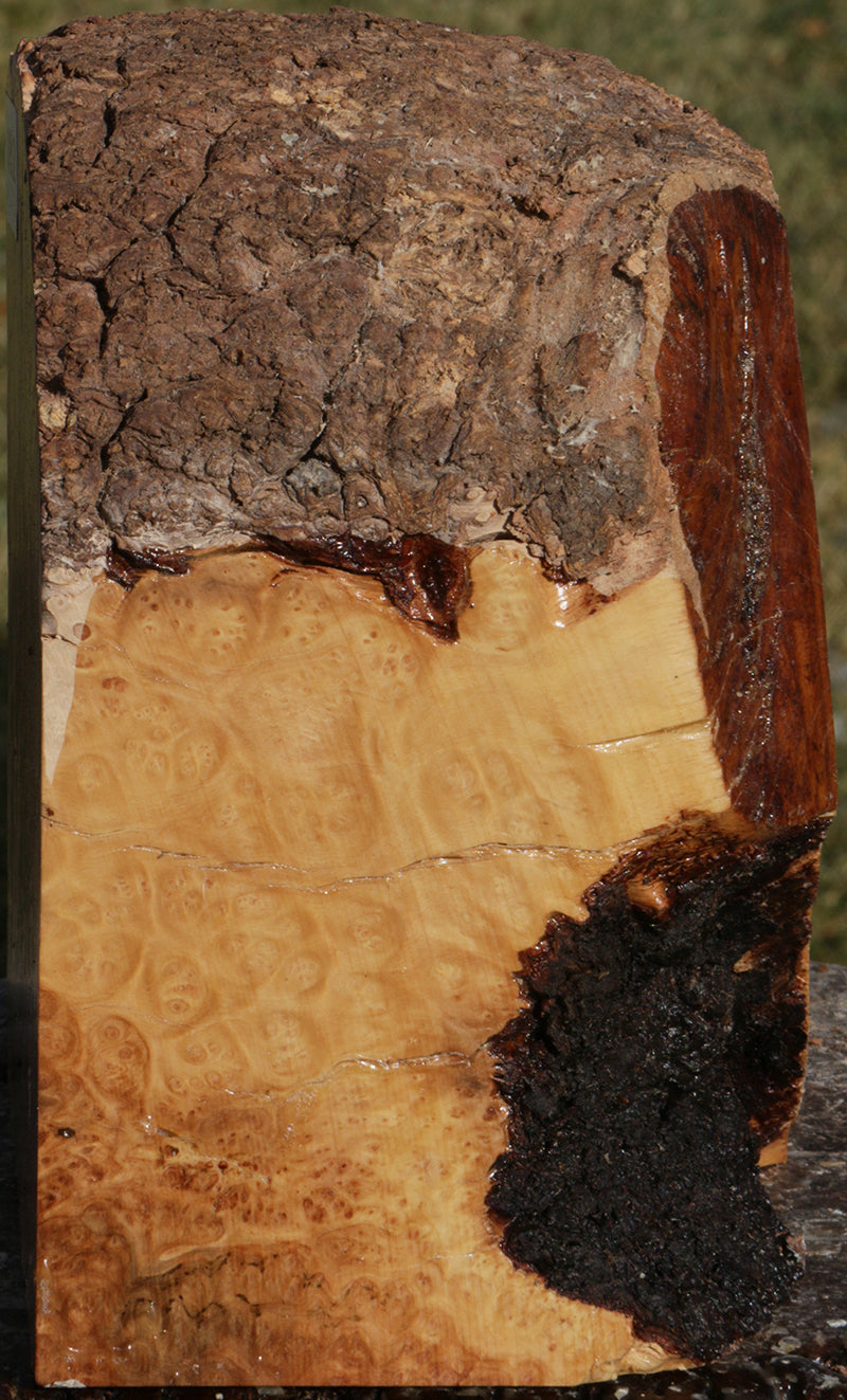 Exhibition Kanista Live Edge Bowl Blank