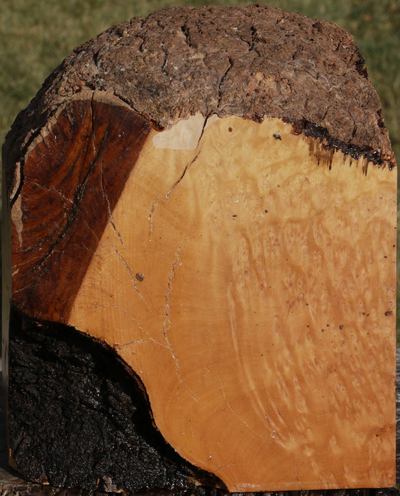 Exhibition Kanista Live Edge Bowl Blank