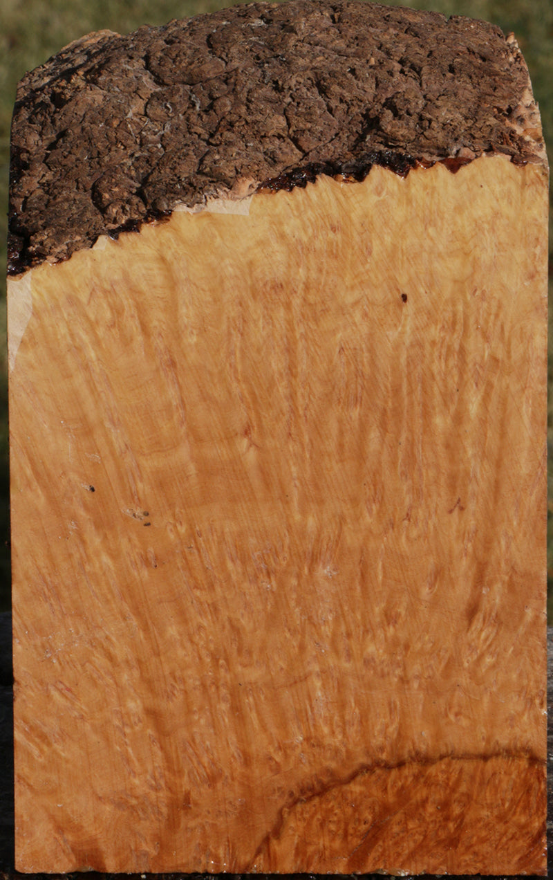 Exhibition Kanista Live Edge Bowl Blank