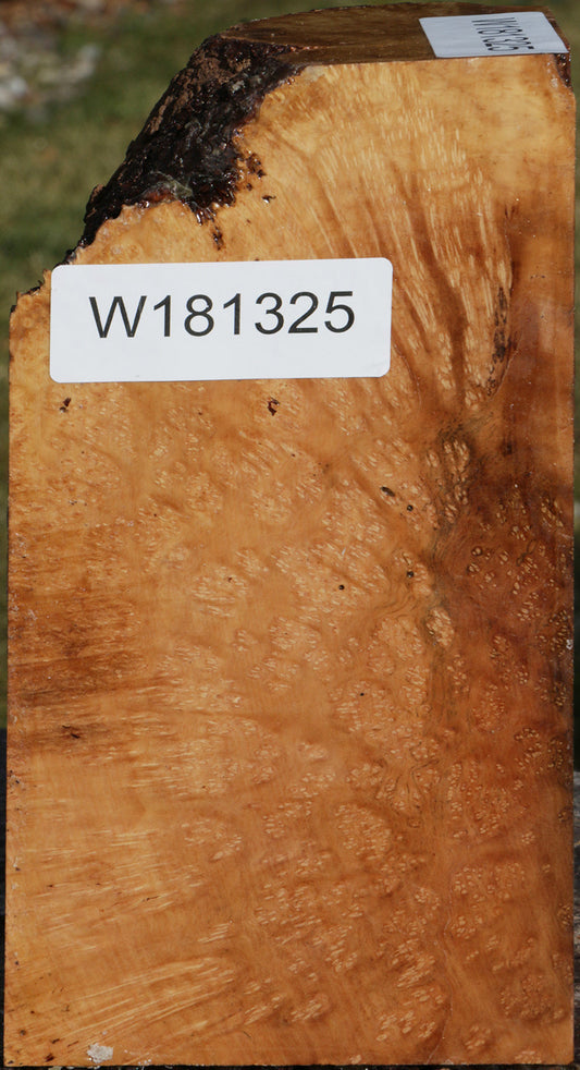 Extra Fancy Kanista Live Edge Turning Square