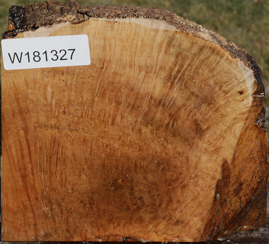 Exhibition Kanista Live Edge Bowl Blank