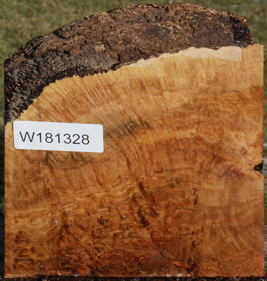 Exhibition Kanista Live Edge Bowl Blank