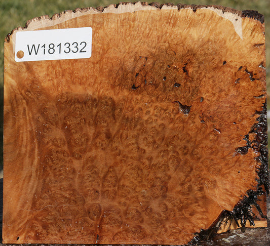 Exhibition Kanista Live Edge Bowl Blank