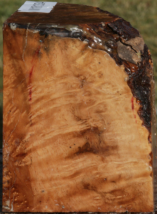 Exhibition Kanista Live Edge Bowl Blank