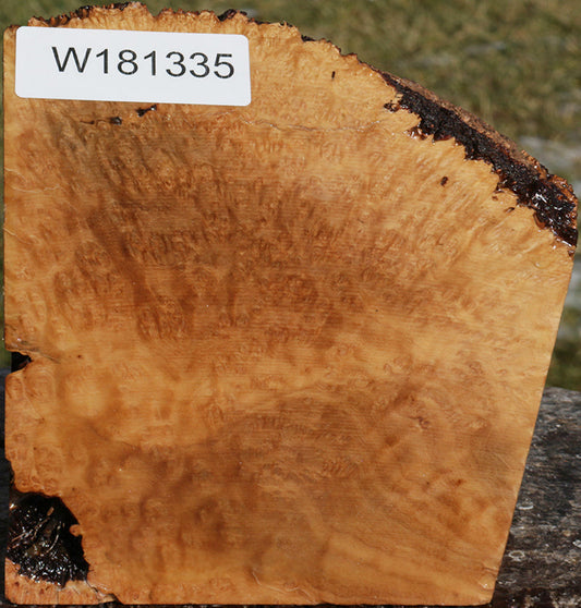 Exhibition Kanista Live Edge Bowl Blank