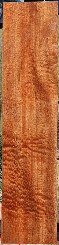 Exhibition Pomelle Sipo Lumber