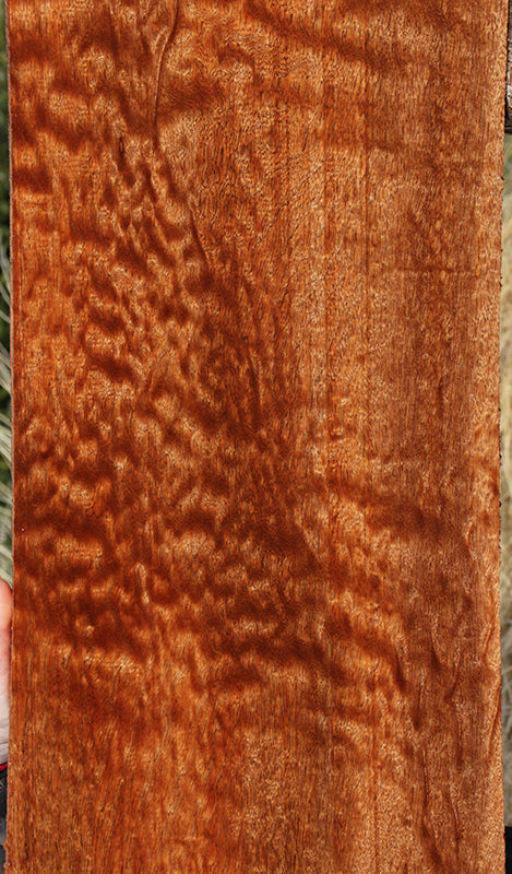 Exhibition Pomelle Sipo Lumber