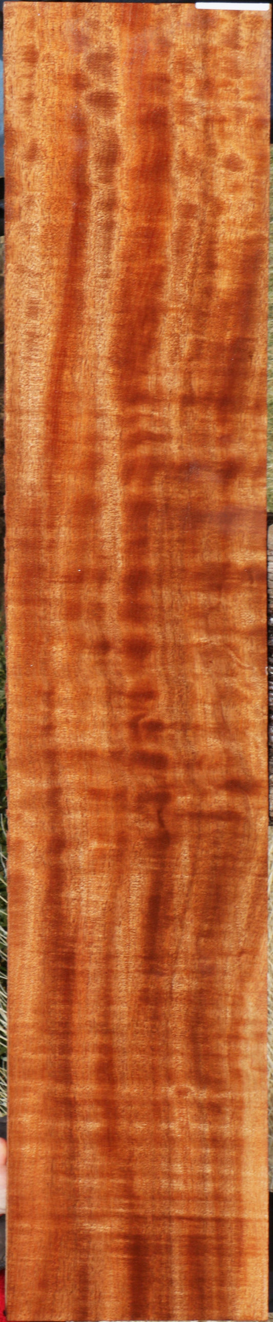 Exhibition Sipo Lumber
