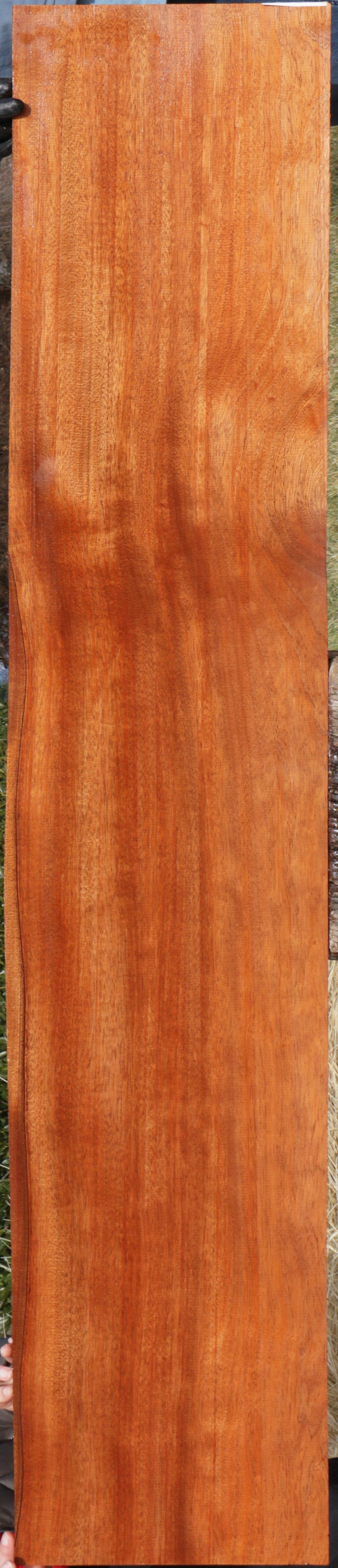 Extra Fancy Sipo Lumber