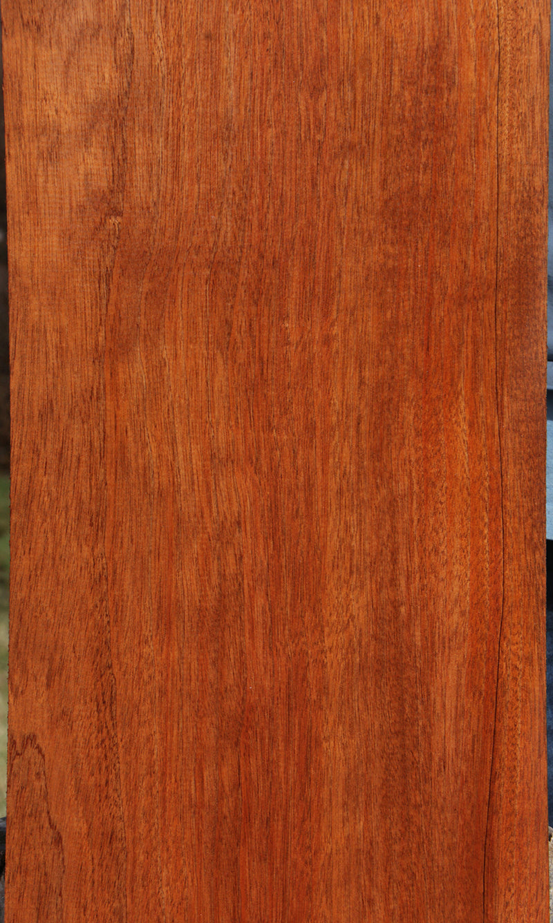 Extra Fancy Sipo Lumber