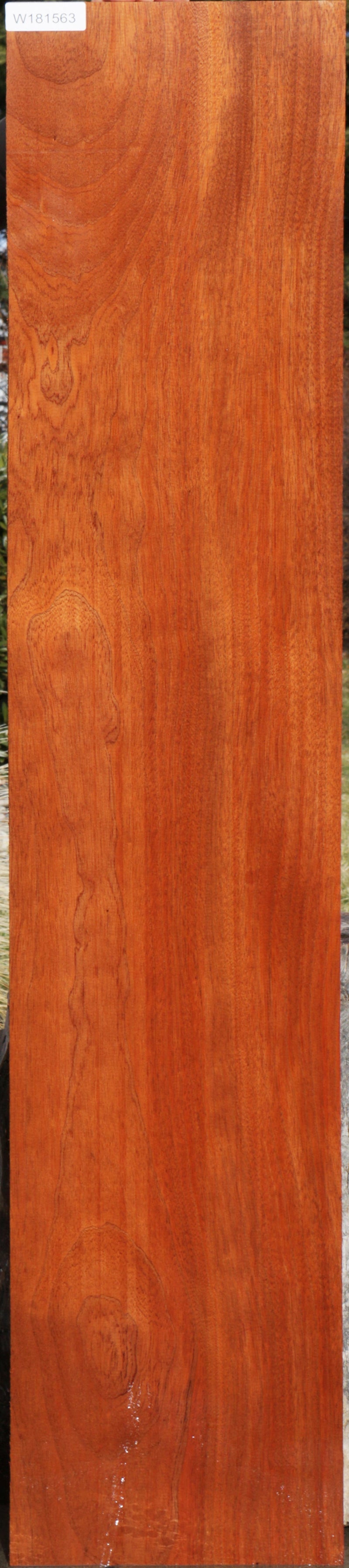 Extra Fancy Sipo Lumber