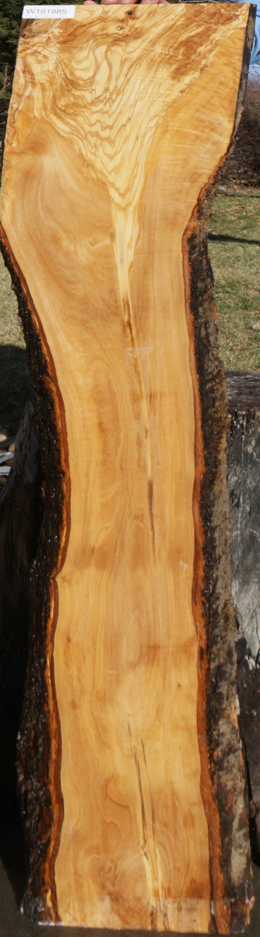 Extra Fancy Fiddleback Olive Live Edge Lumber