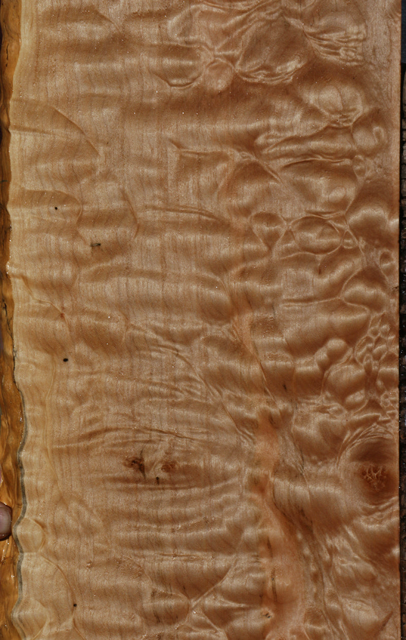 AAAA Quilted Maple Instrument Live Edge Lumber