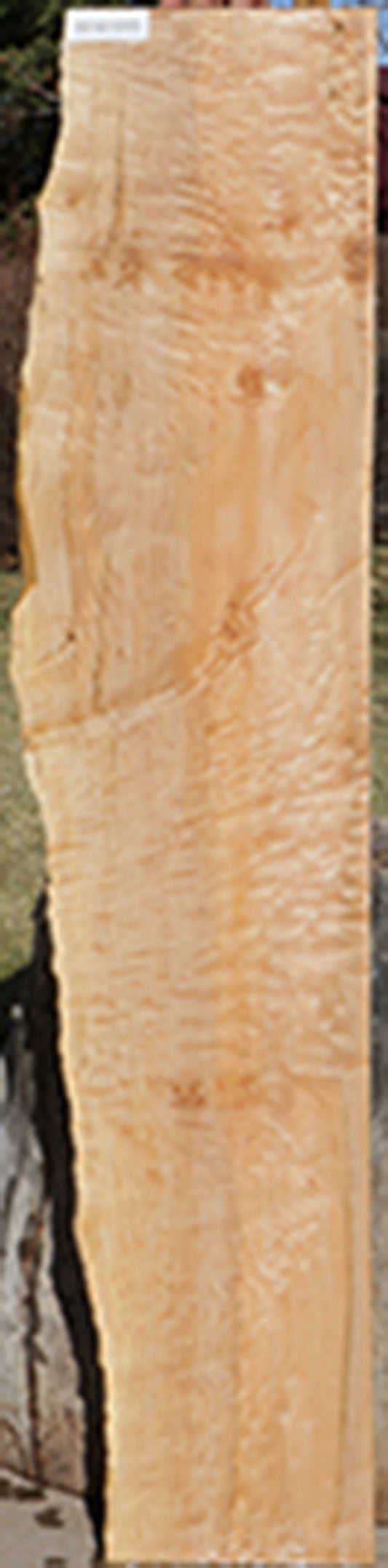 Extra Fancy Quilted Maple Live Edge Lumber
