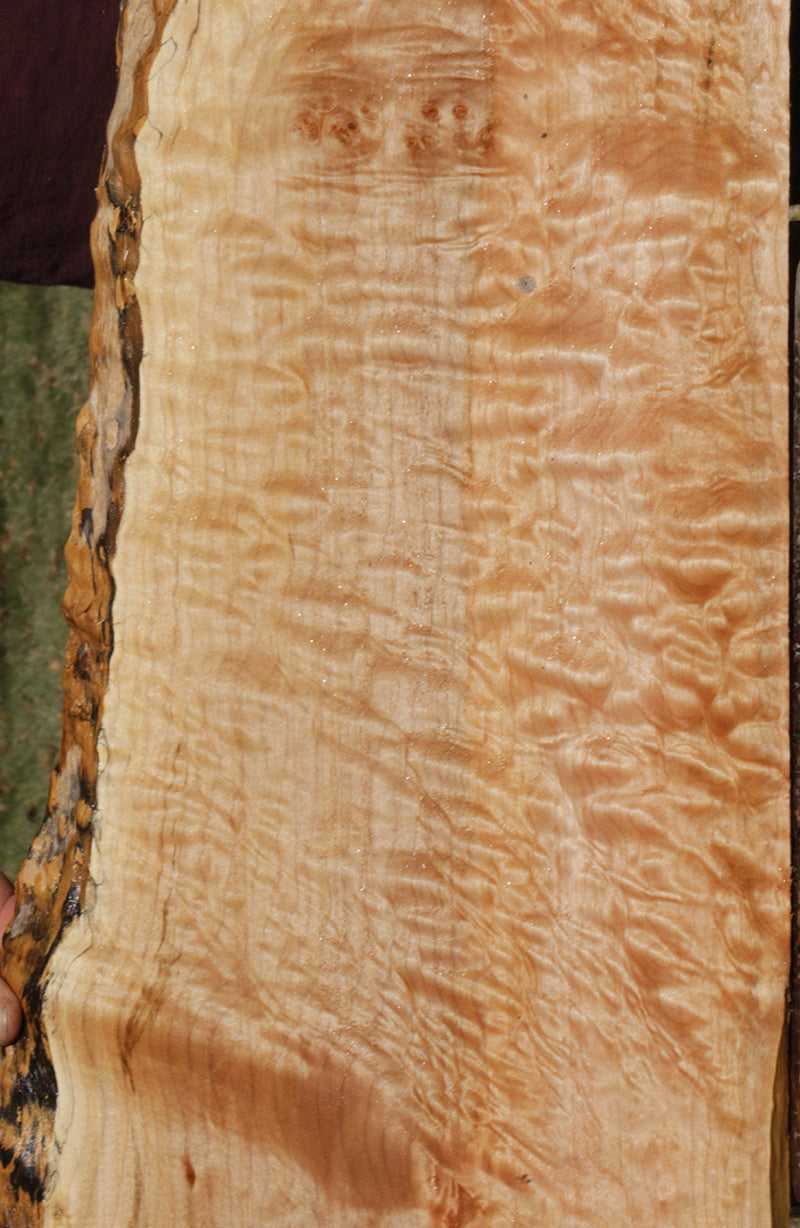 Extra Fancy Quilted Maple Live Edge Lumber