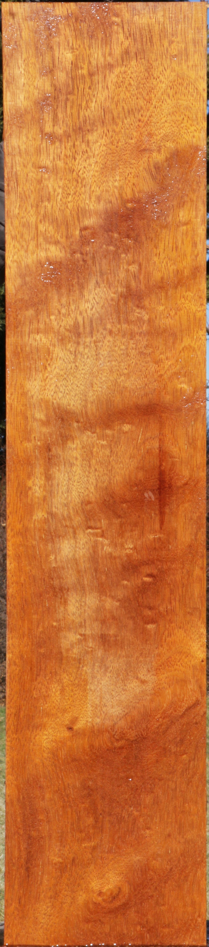 Extra Fancy Moluccan Ironwood Lumber