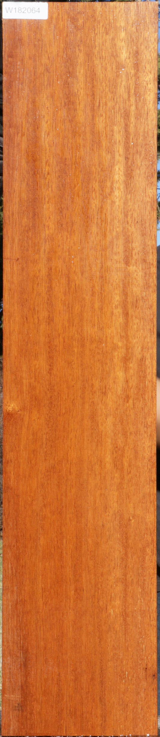 Moluccan Ironwood Lumber