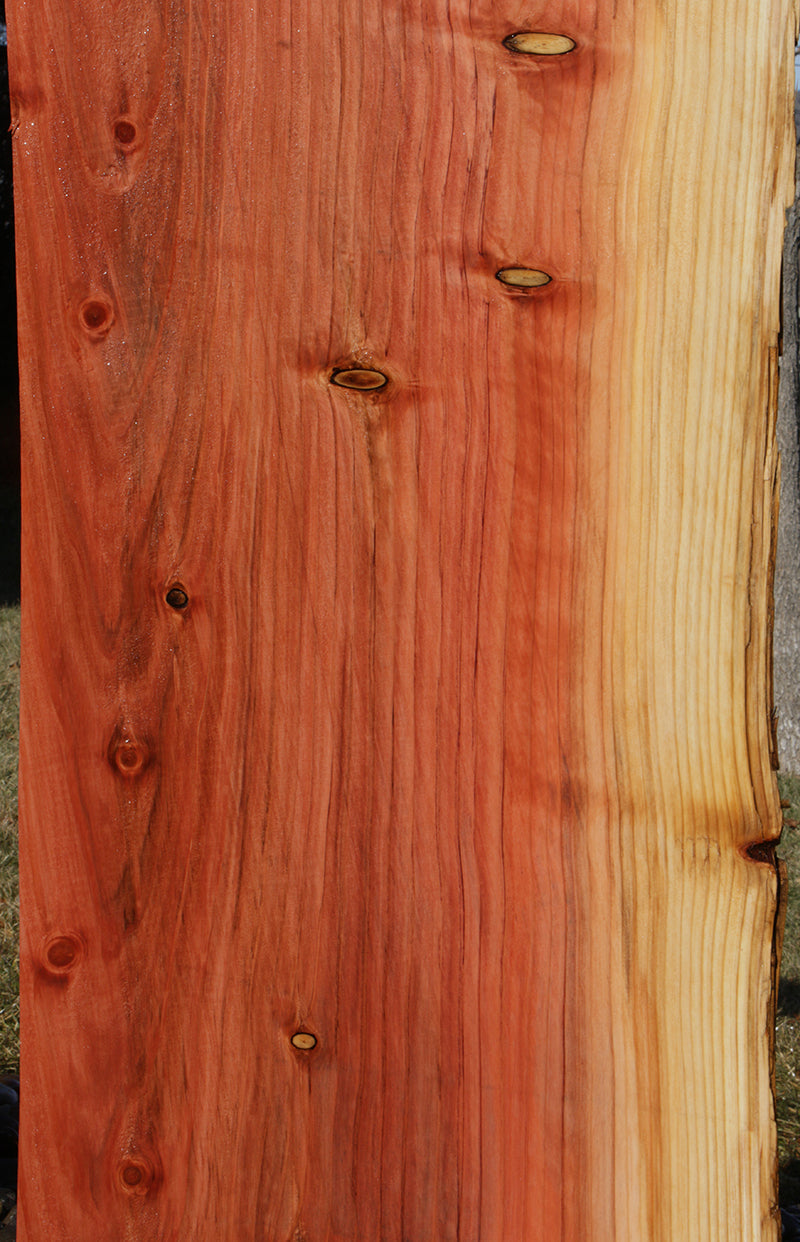 Sequoia Live Edge Slab (Freight Shipping Required)