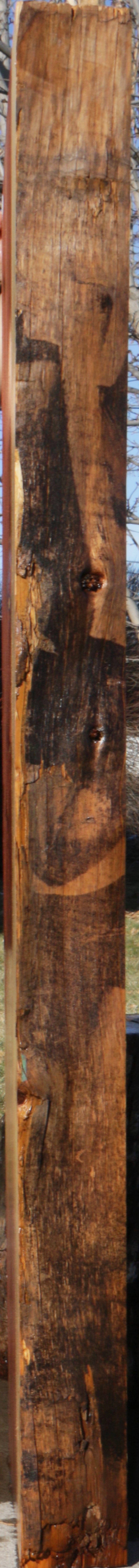 Sequoia Live Edge Slab (Freight Shipping Required)