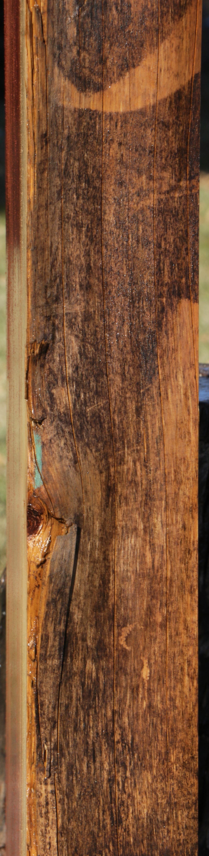 Sequoia Live Edge Slab (Freight Shipping Required)