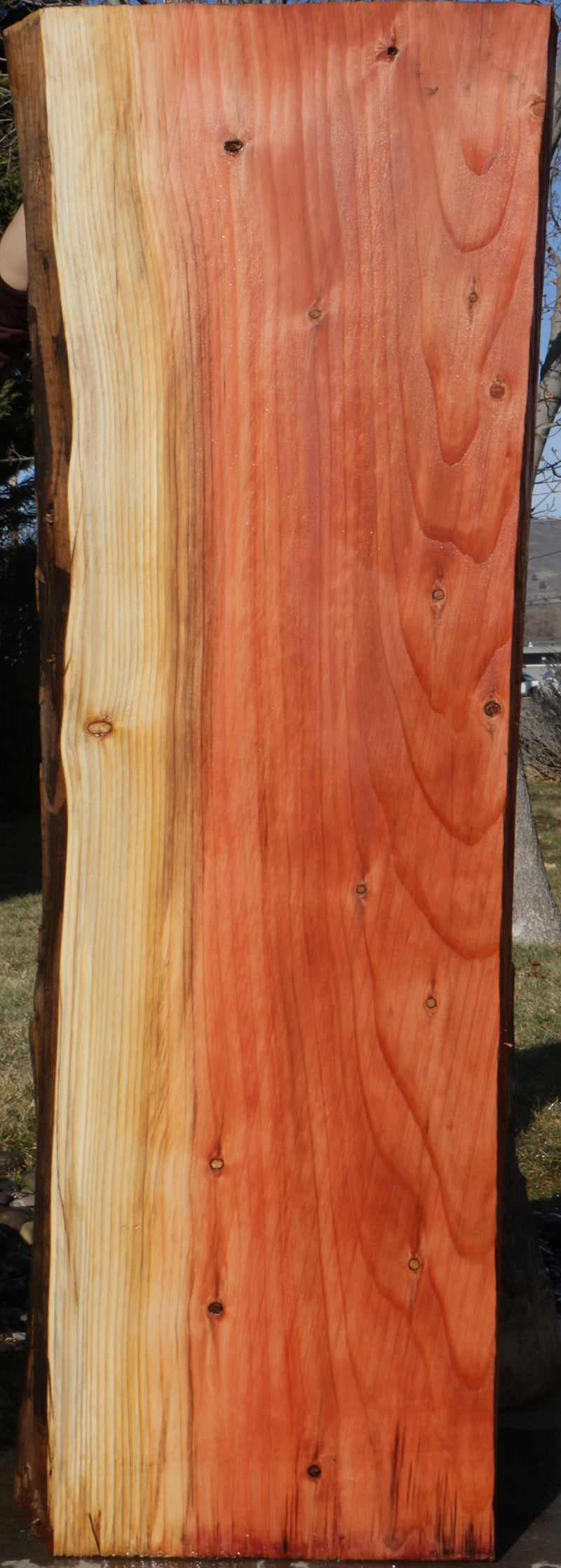 Sequoia Live Edge Slab (Freight Shipping Required)