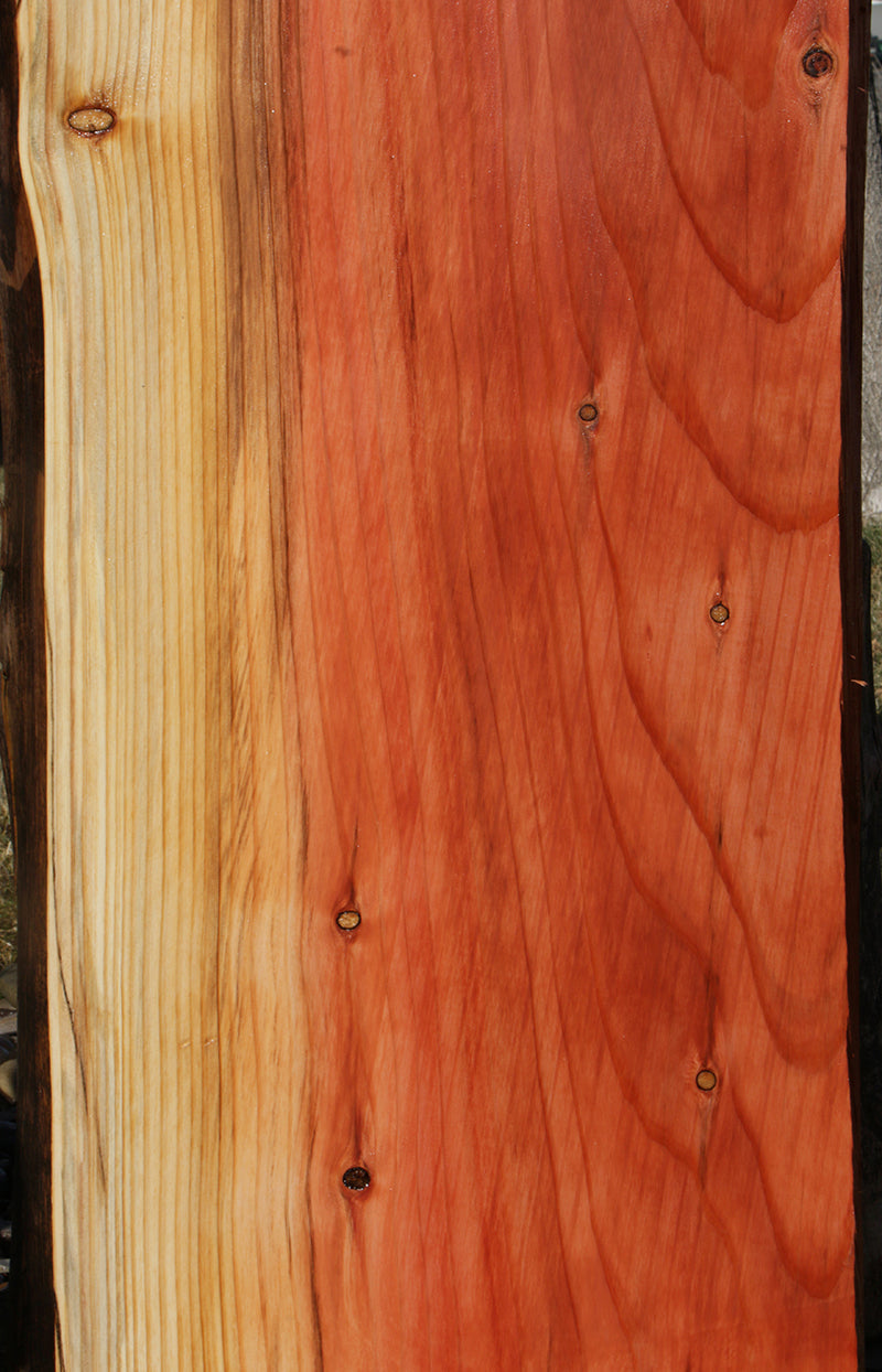 Sequoia Live Edge Slab (Freight Shipping Required)