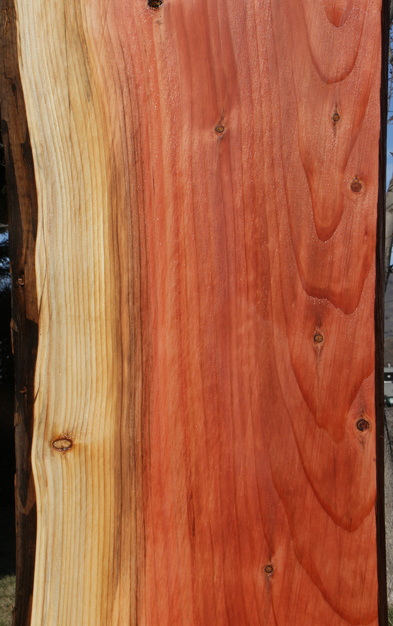 Sequoia Live Edge Slab (Freight Shipping Required)