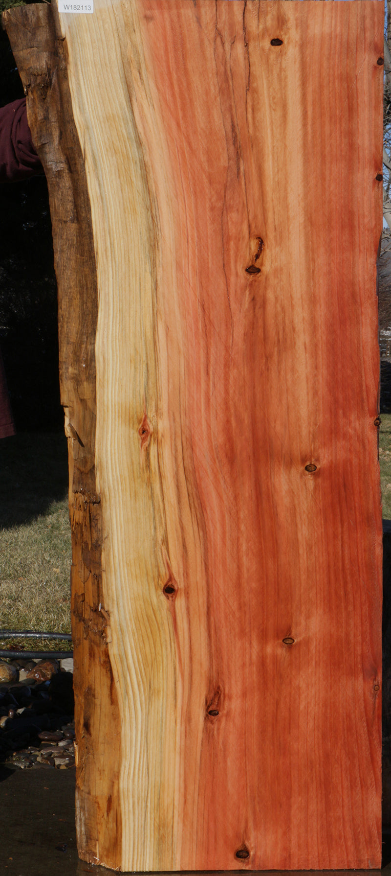 Rustic Sequoia Live Edge Slab (Freight Shipping Required)