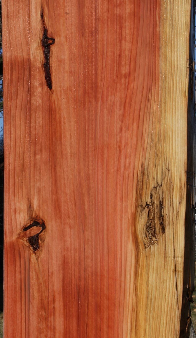 Sequoia Live Edge Slab (Freight Shipping Required)