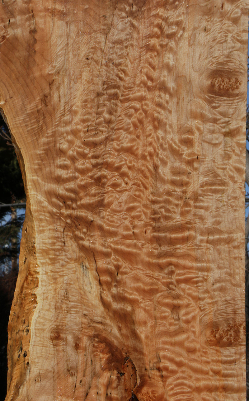 Rustic Quilted Maple Live Edge Lumber