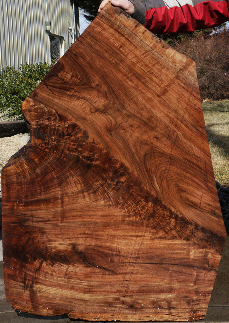 Rustic Crotchwood Claro Walnut Live Edge Slab (Freight Shipping Required)