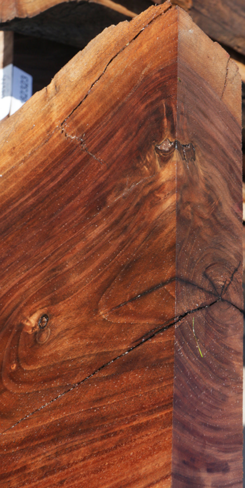 Rustic Claro Walnut Live Edge Slab (Free Shipping Excluded)