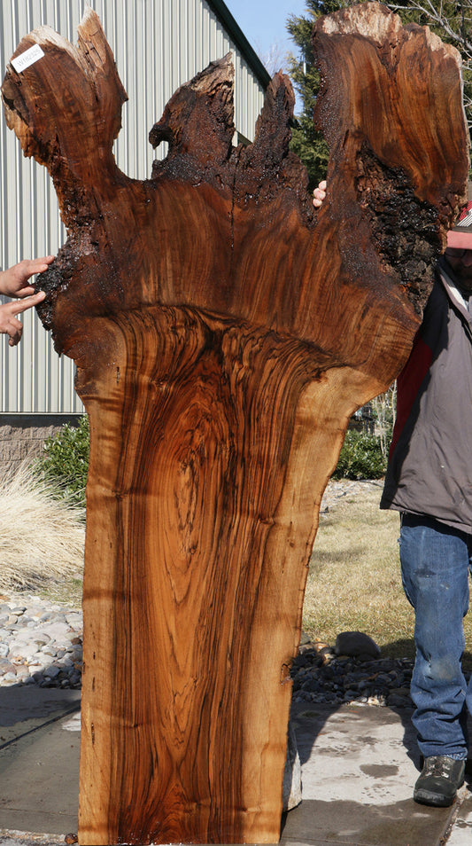 Extra Fancy English Claro Graft Walnut Live Edge Slab (Freight Shipping Required)